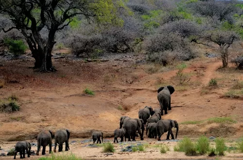 Tarangire National Park